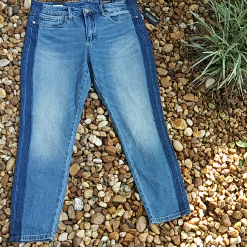 Anthro BLANKNYC The Read Crop Skinny Jeans